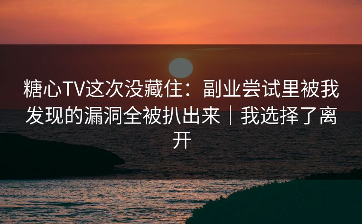 糖心TV这次没藏住：副业尝试里被我发现的漏洞全被扒出来｜我选择了离开