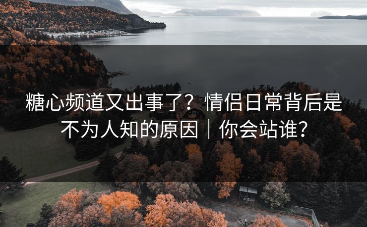 糖心频道又出事了？情侣日常背后是不为人知的原因｜你会站谁？  第1张