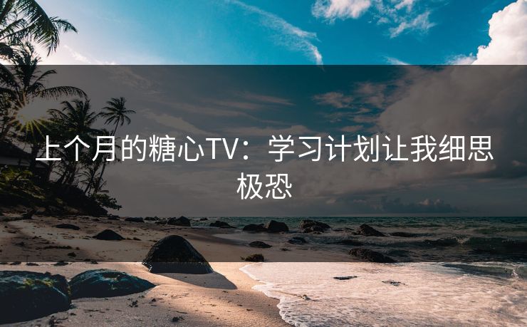 上个月的糖心TV：学习计划让我细思极恐