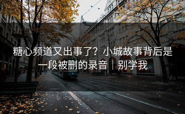 糖心频道又出事了？小城故事背后是一段被删的录音｜别学我