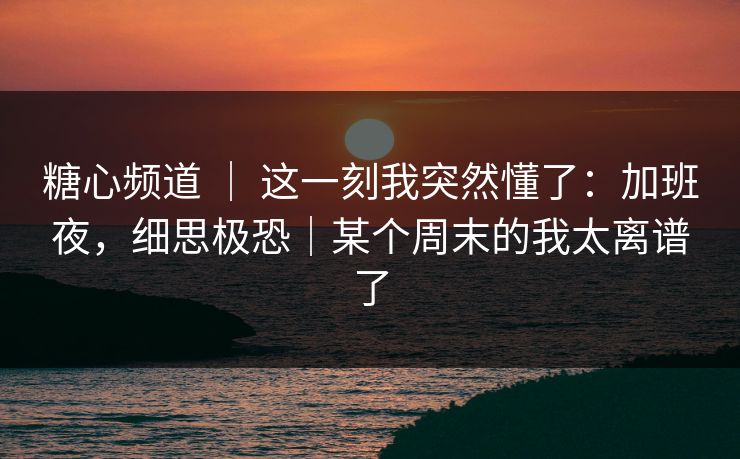 糖心频道 ｜ 这一刻我突然懂了：加班夜，细思极恐｜某个周末的我太离谱了