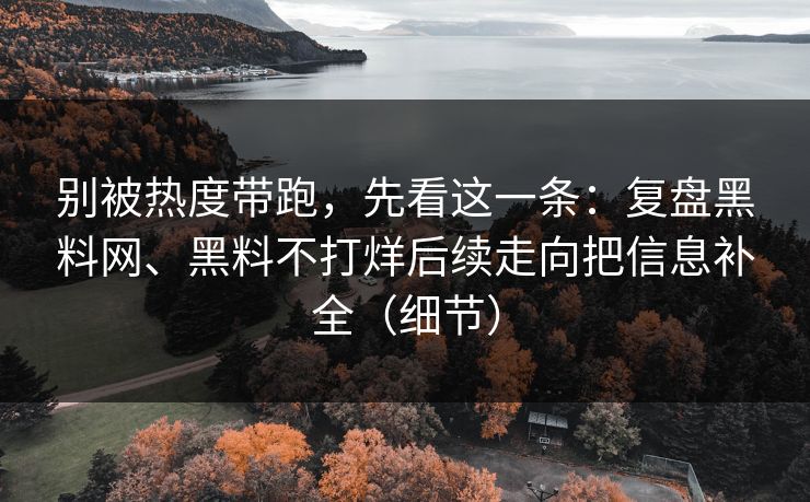 别被热度带跑，先看这一条：复盘黑料网、黑料不打烊后续走向把信息补全（细节）