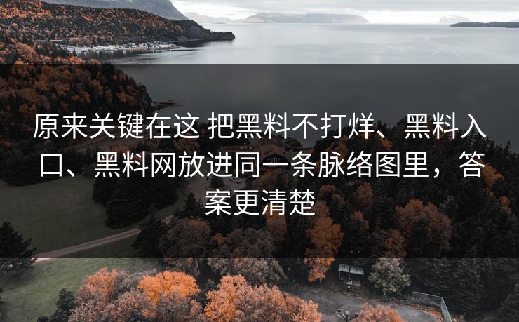 原来关键在这 把黑料不打烊、黑料入口、黑料网放进同一条脉络图里，答案更清楚