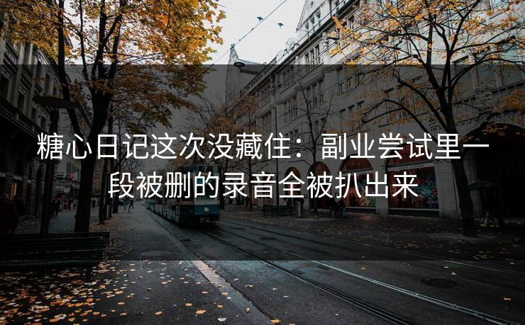 糖心日记这次没藏住：副业尝试里一段被删的录音全被扒出来
