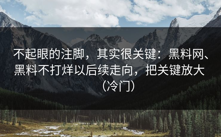不起眼的注脚，其实很关键：黑料网、黑料不打烊以后续走向，把关键放大 （冷门）