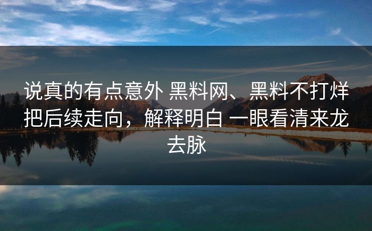 说真的有点意外 黑料网、黑料不打烊把后续走向，解释明白 一眼看清来龙去脉