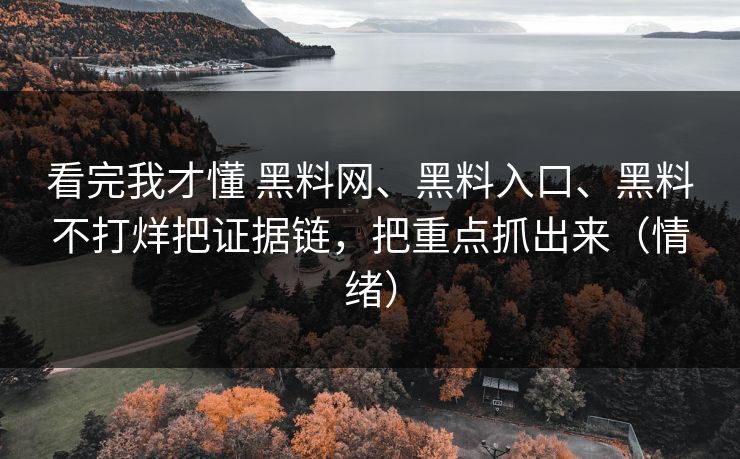 看完我才懂 黑料网、黑料入口、黑料不打烊把证据链，把重点抓出来（情绪）
