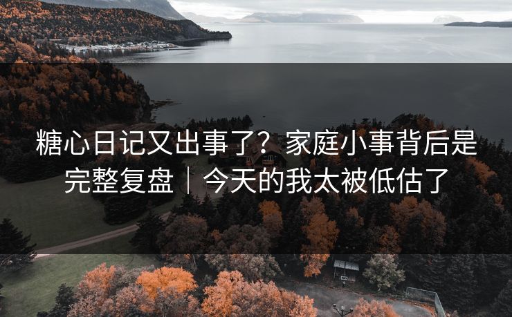 糖心日记又出事了？家庭小事背后是完整复盘｜今天的我太被低估了