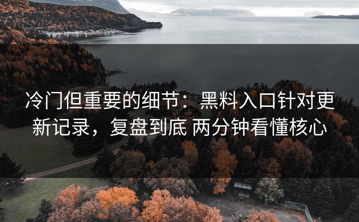 冷门但重要的细节：黑料入口针对更新记录，复盘到底 两分钟看懂核心