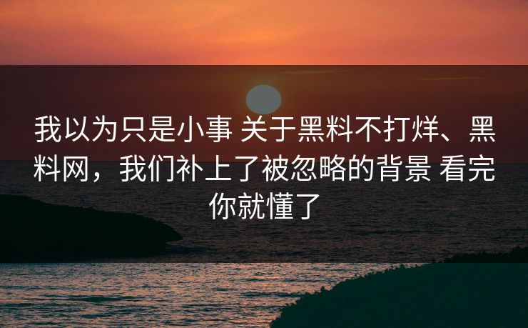 我以为只是小事 关于黑料不打烊、黑料网，我们补上了被忽略的背景 看完你就懂了